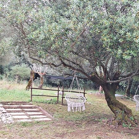 Moradia Rural De Charme Agradavel E Acolhedora Villa Arrimal Exterior photo